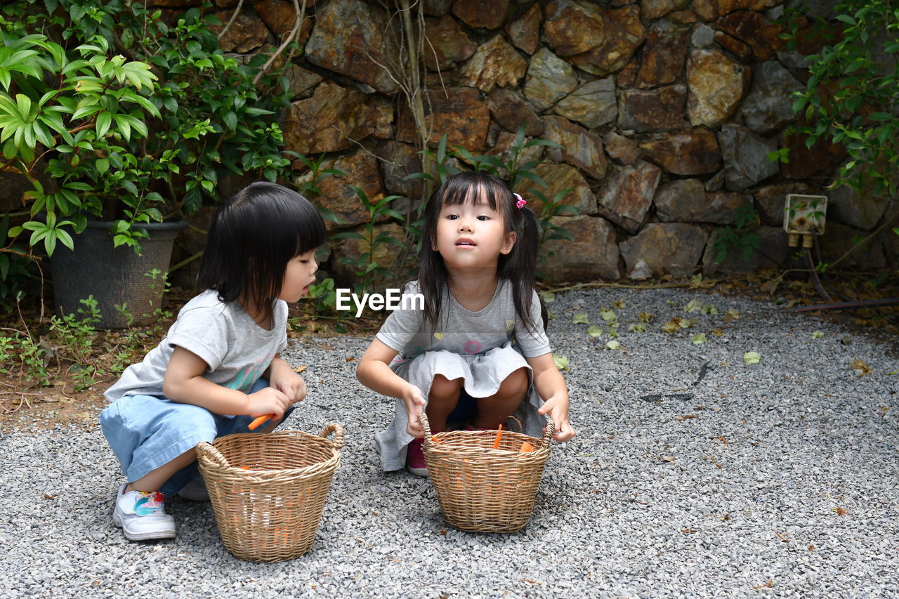 Cute girls crouching by baskets on land 