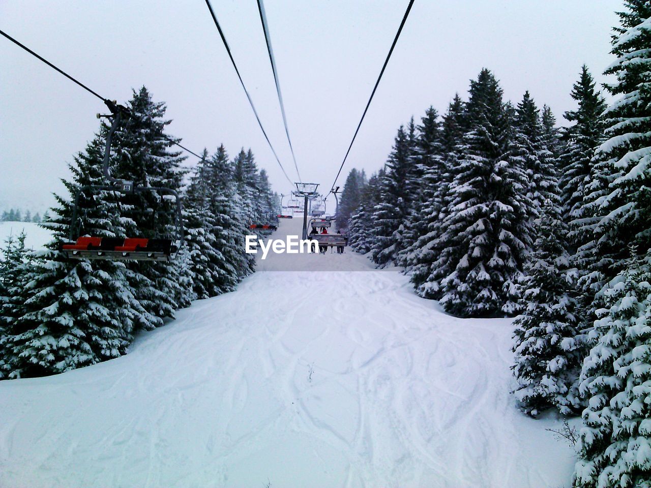 Ski lifts amidst trees during winter