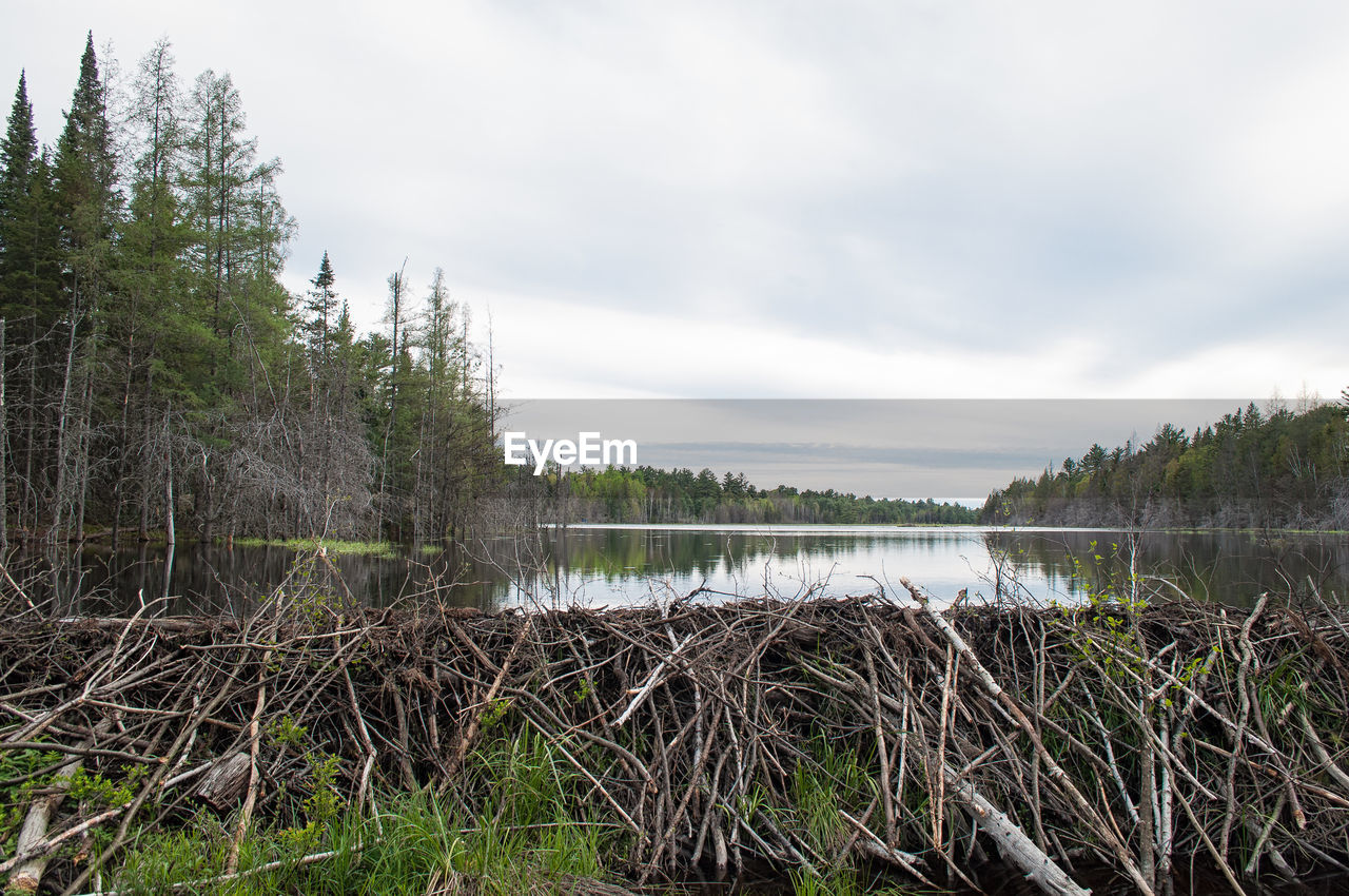 Scenic view of river against sky