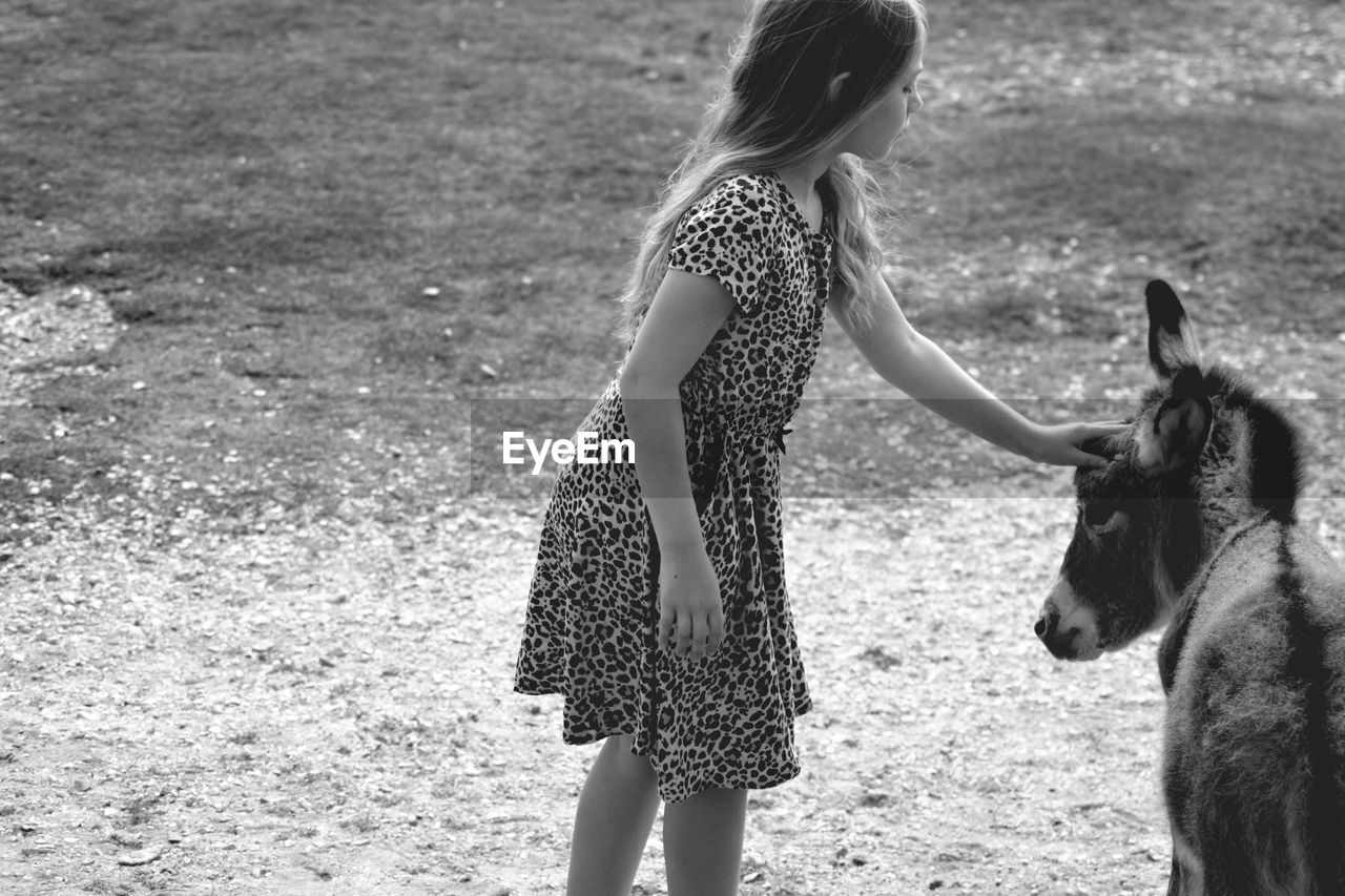 Girl petting a donkey