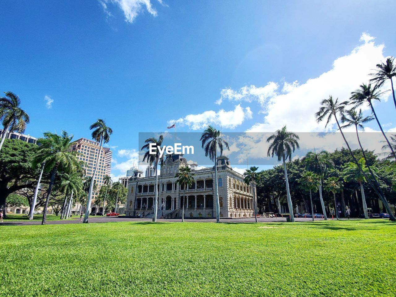 PALM TREES AND PLANTS ON FIELD