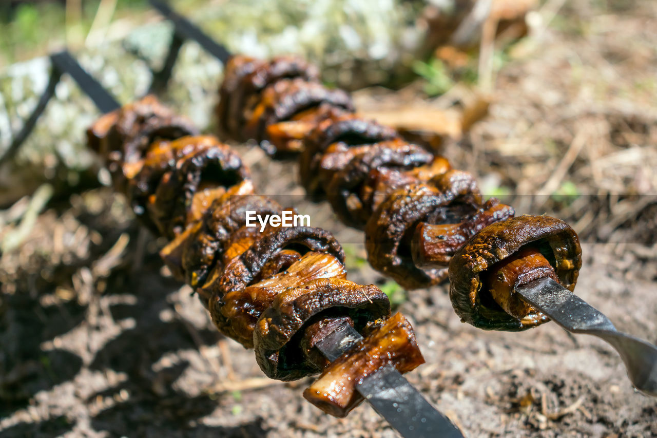 Outdoor picnic food. grilled mushroom skewers on nature background