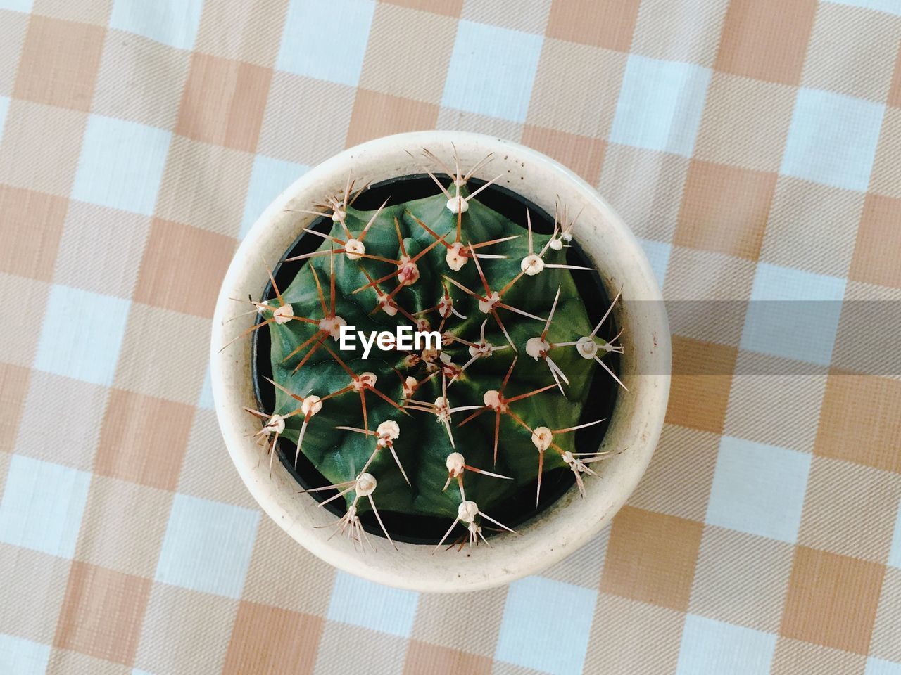 HIGH ANGLE VIEW OF POTTED PLANTS ON TILED FLOOR