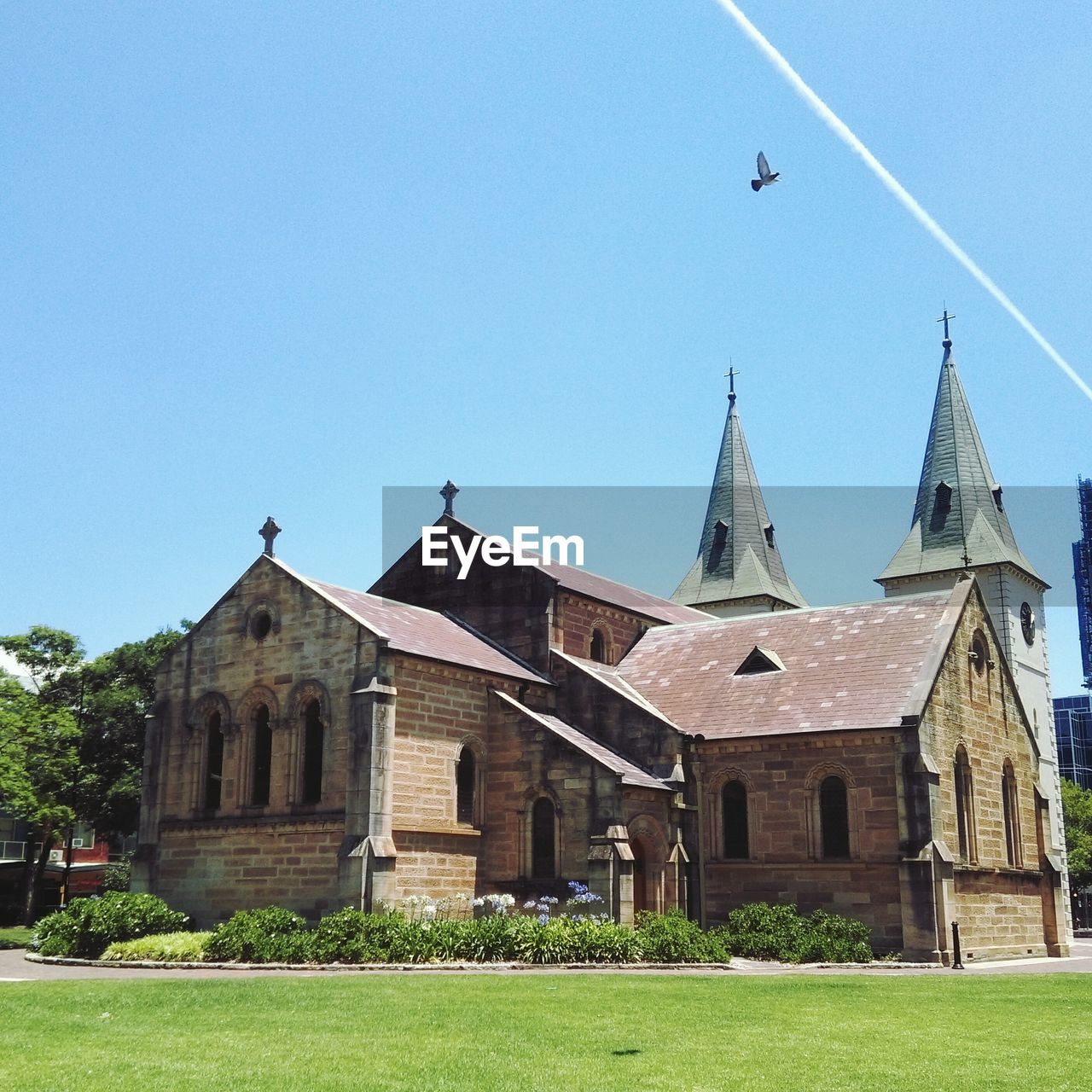 Low angle view of birds flying in front of building against blue sky