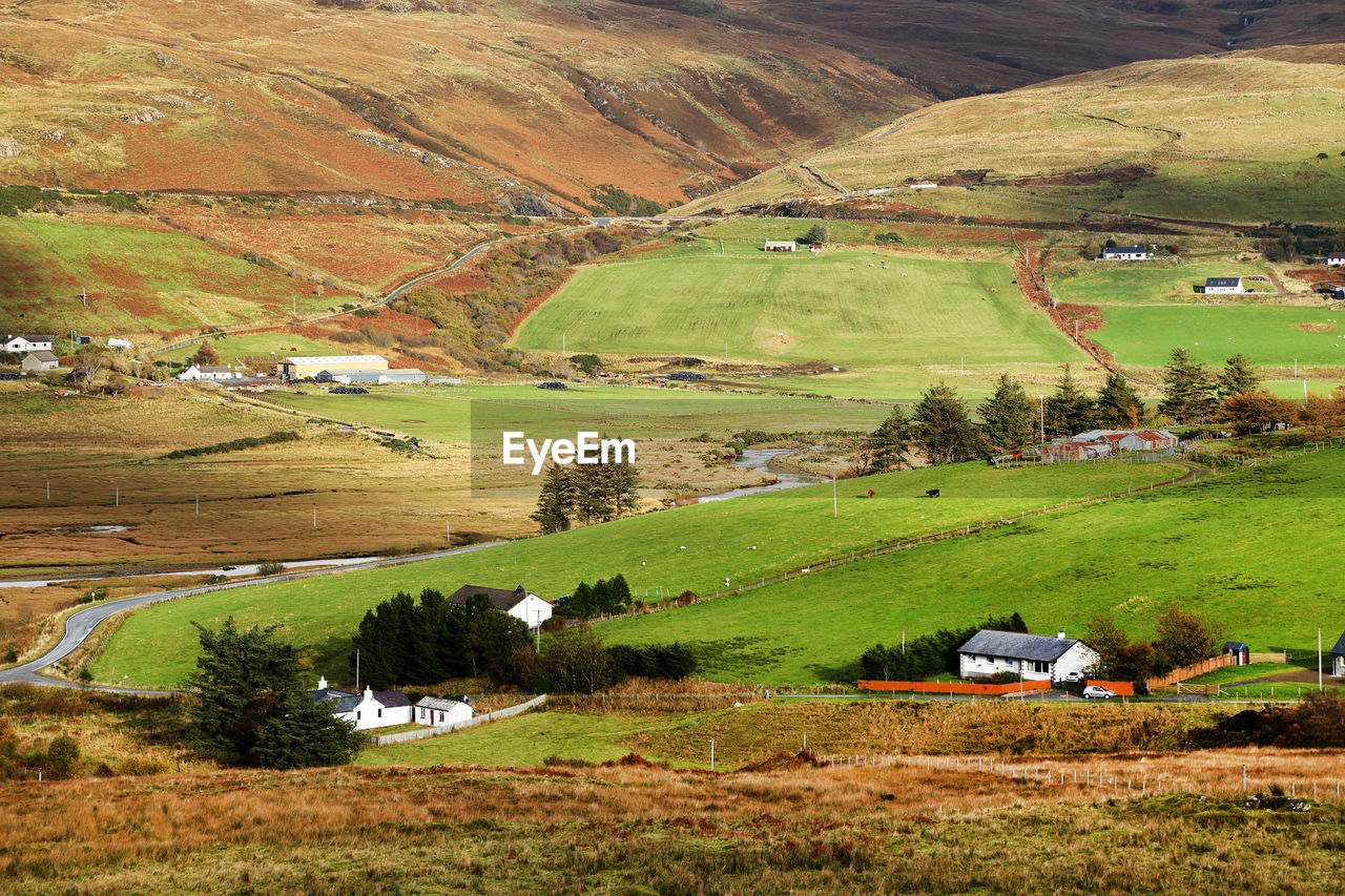 Scenic view of agricultural field