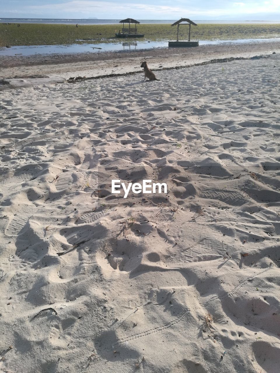 FOOTPRINTS ON SAND AT BEACH