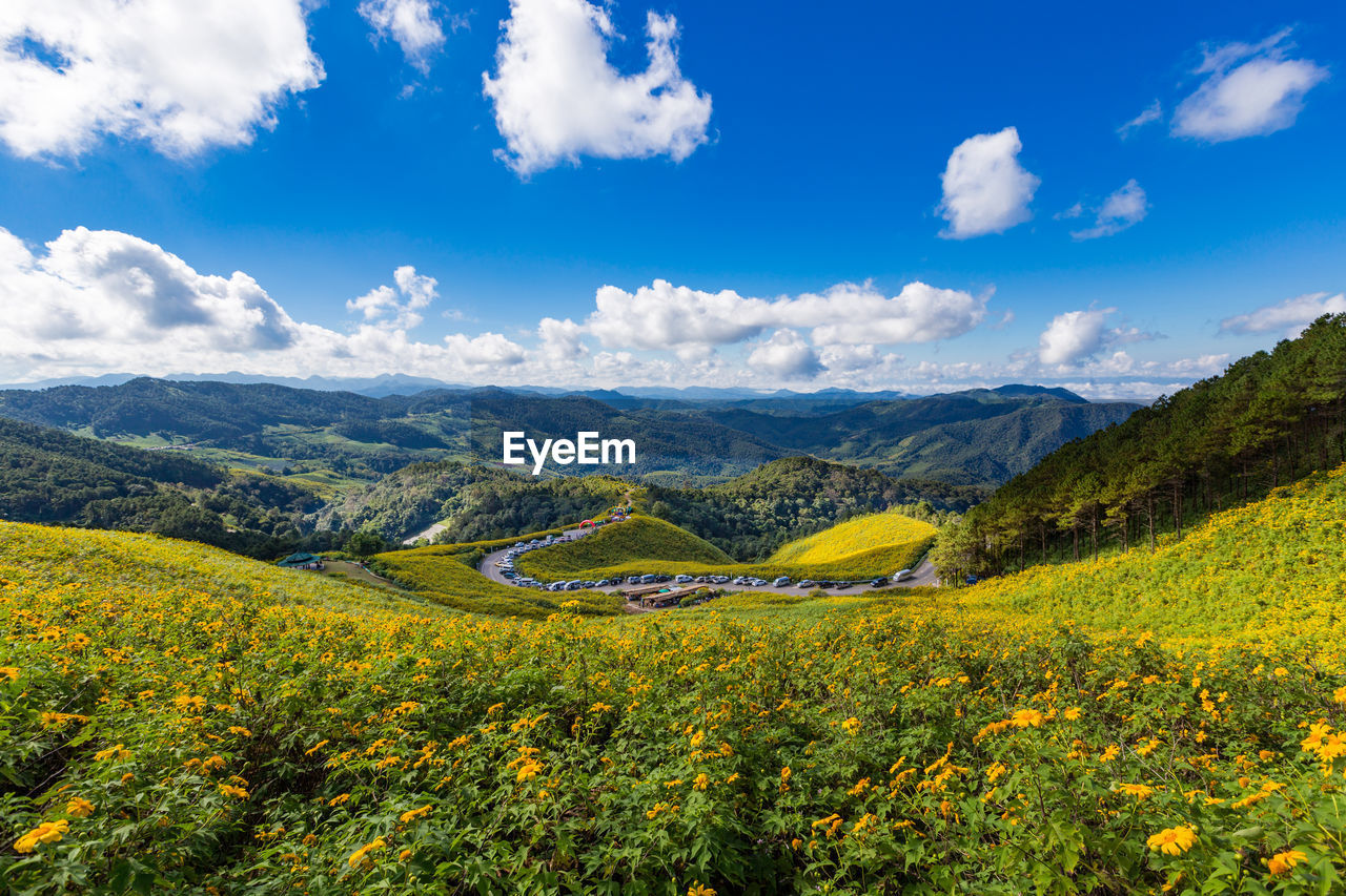 Scenic view of field against sky