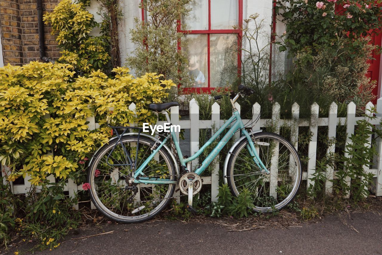 plant, bicycle, transportation, architecture, vehicle, land vehicle, no people, mode of transportation, building exterior, nature, flower, flowering plant, built structure, day, city, fence, wheel, building, outdoors, tree, growth, parking, sports equipment, street, house, urban area, footpath, plant part, leaf, road bicycle, green, railing