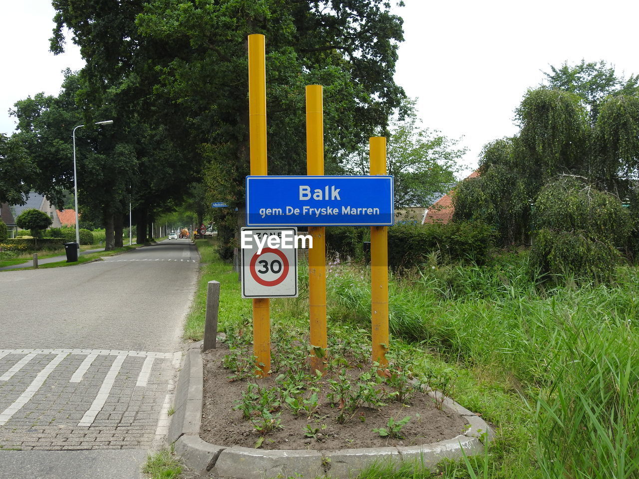 Road sign against trees