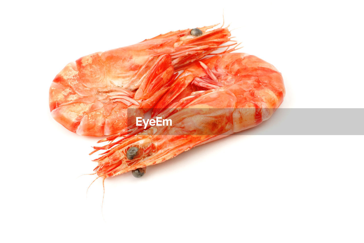 CLOSE-UP OF RED CHILI PEPPER OVER WHITE BACKGROUND