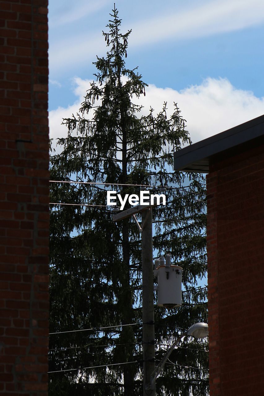 LOW ANGLE VIEW OF BUILT STRUCTURE AND TREES