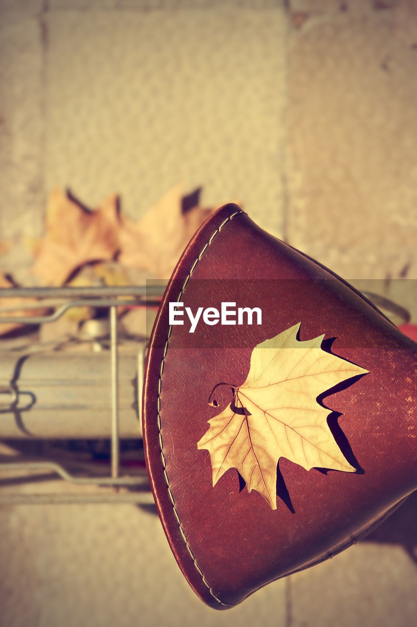 CLOSE-UP OF MAPLE LEAVES ON TABLE