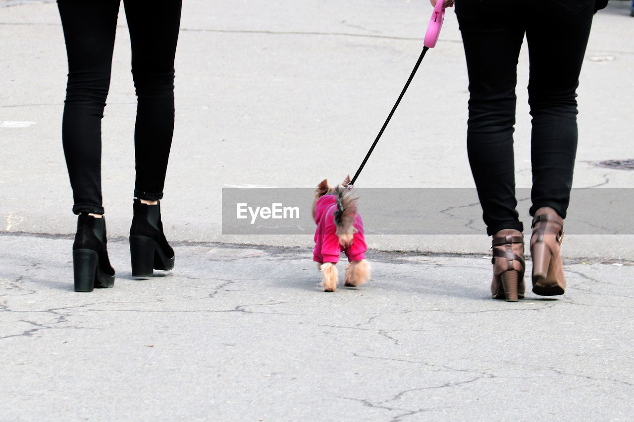 Low section of women walking outdoors