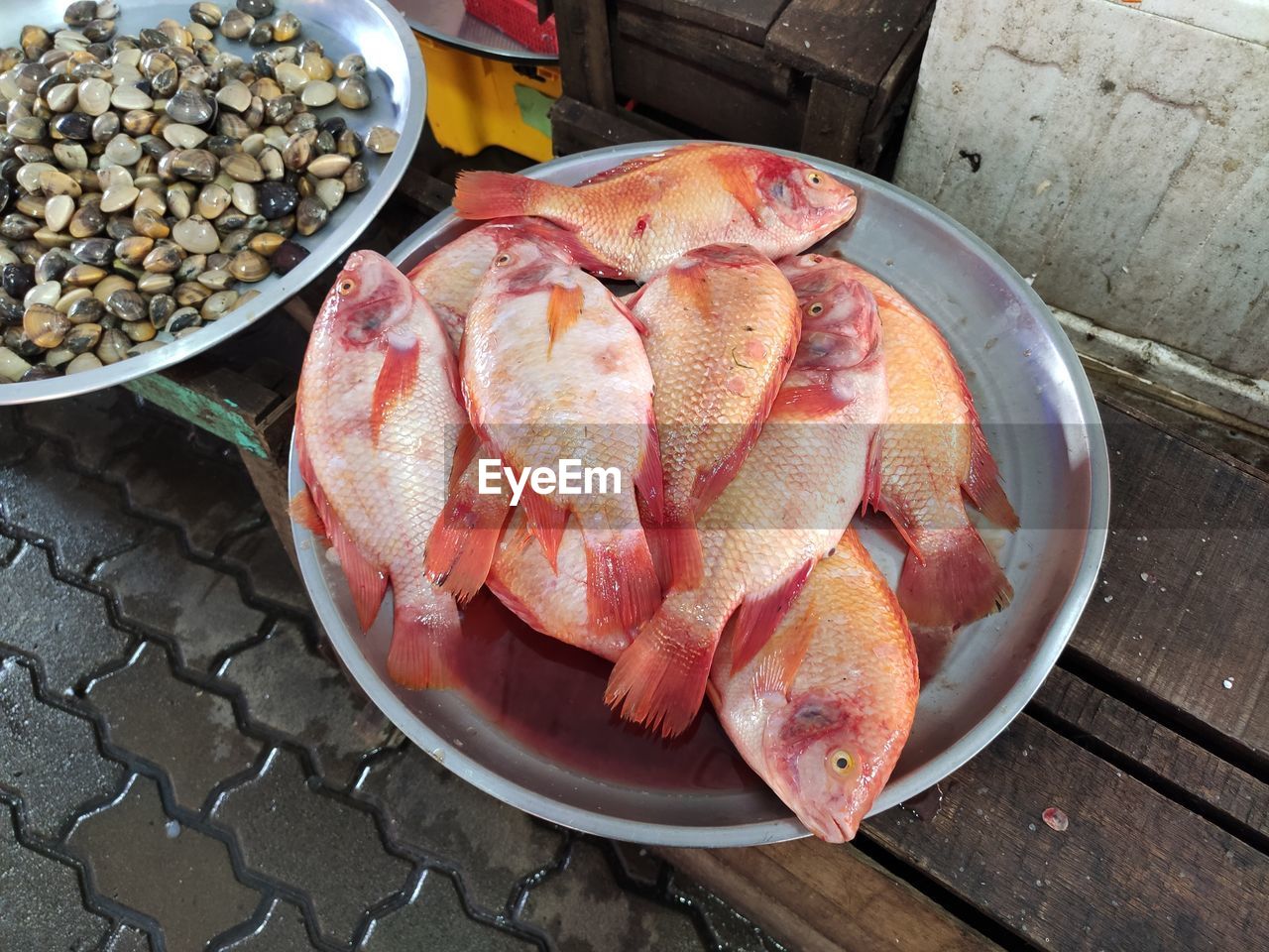 High angle view of seafood in container on table