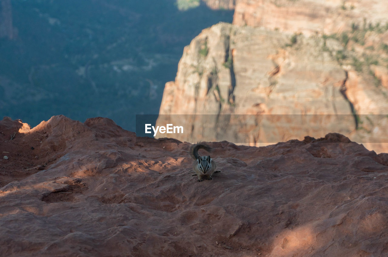 ROCK FORMATION ON MOUNTAIN