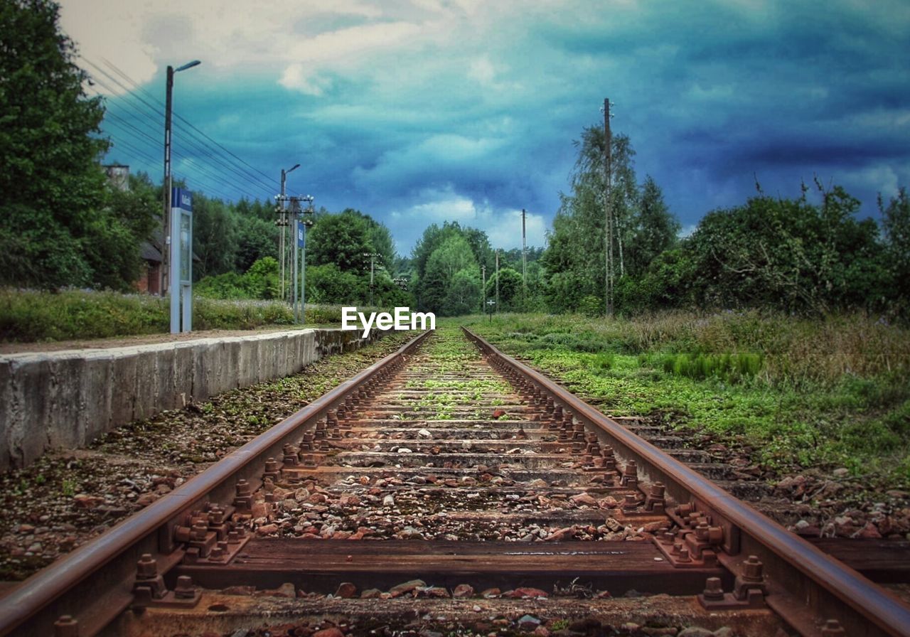 SURFACE LEVEL OF RAILROAD TRACKS IN FOREST