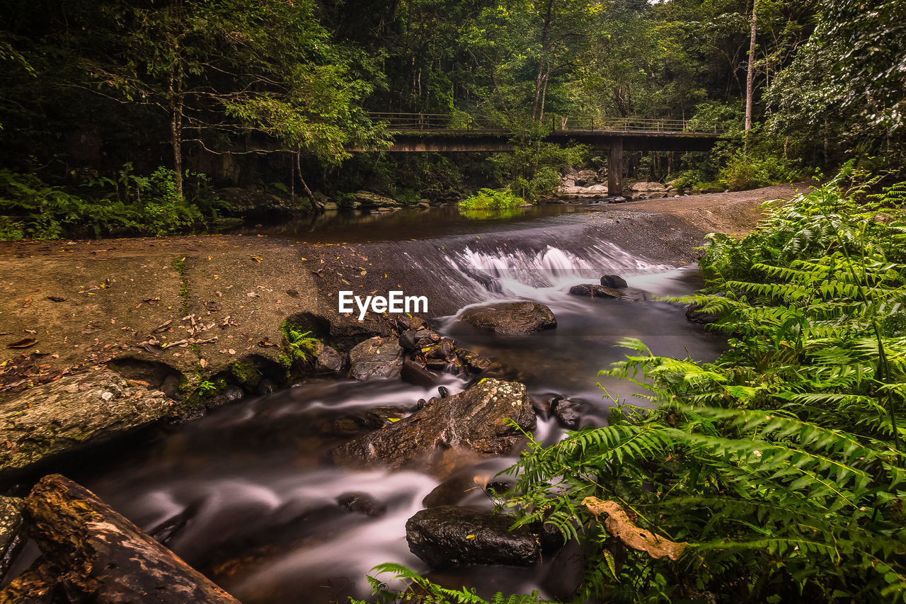 SCENIC VIEW OF WATERFALL