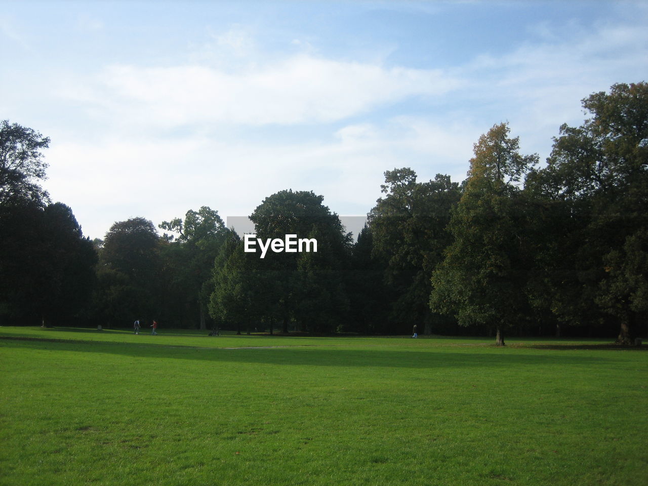 TREES ON GOLF COURSE AGAINST SKY