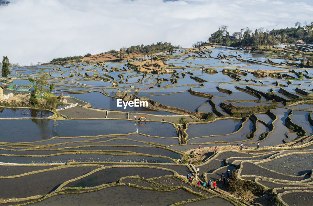 Yuanyang rice terrace, yunnan, china