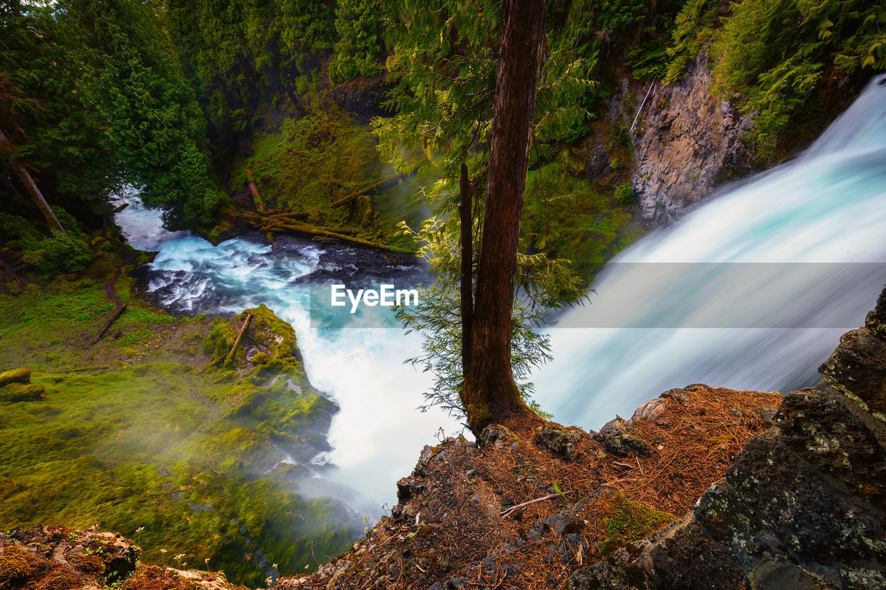 panoramic view of waterfall in forest