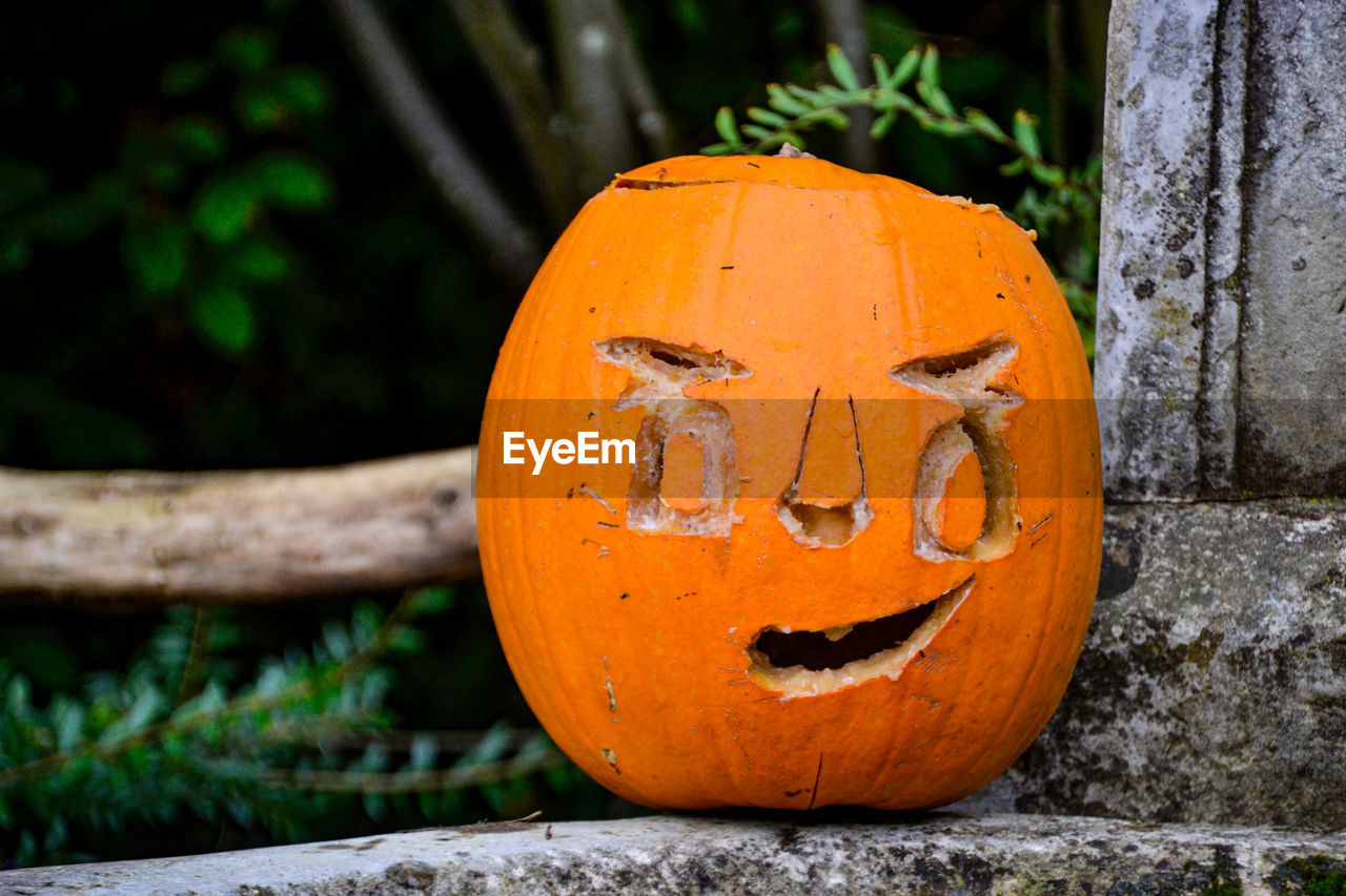 Close-up of pumpkin on stone wall during halloween