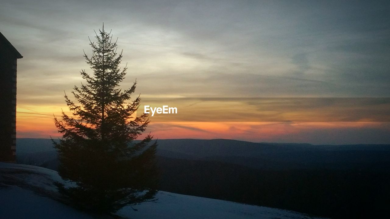 SILHOUETTE TREE ON MOUNTAIN AGAINST ORANGE SKY