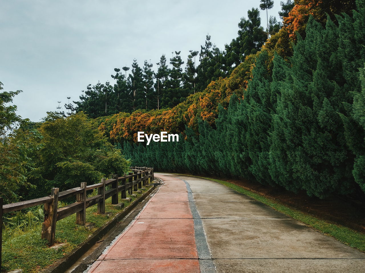 Footpath amidst trees against sky during autumn