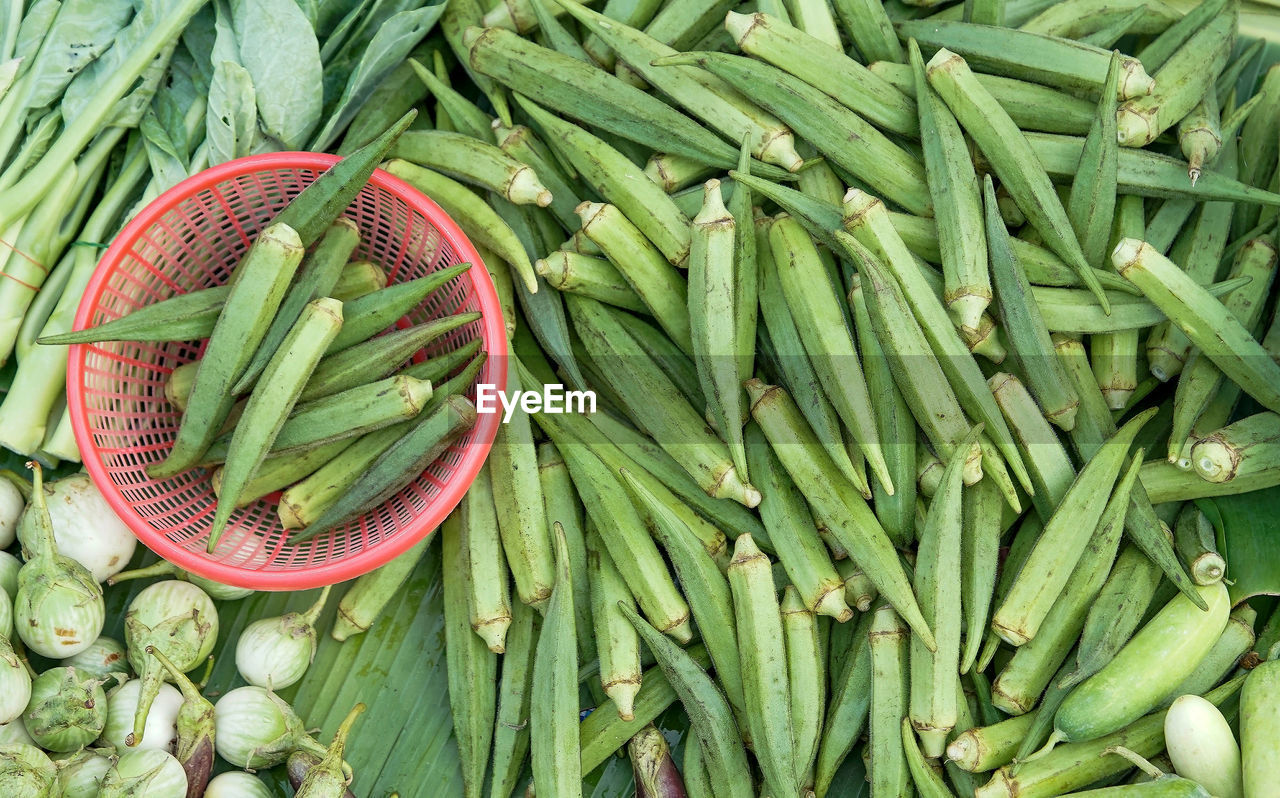 Green vegetable been sold in market