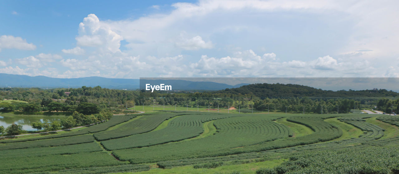 PANORAMIC VIEW OF AGRICULTURAL FIELD AGAINST SKY