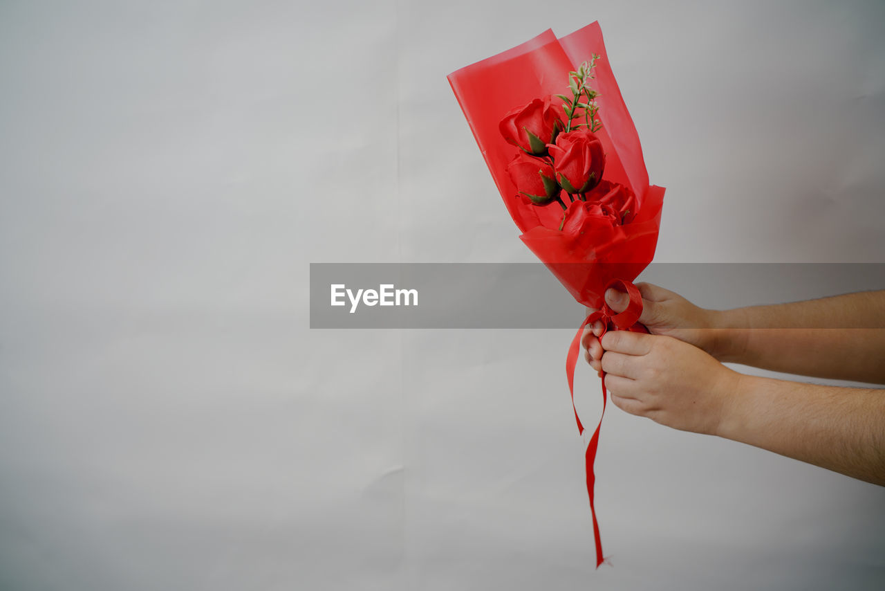 Midsection of person holding red rose against white wall