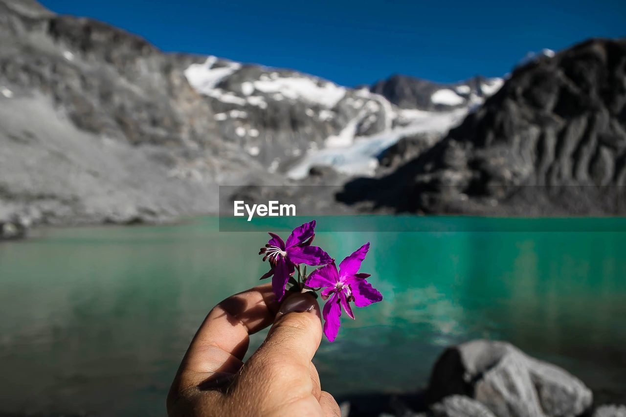 Cropped image of hands holding flowers against lake