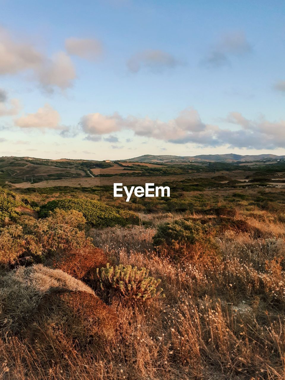 SCENIC VIEW OF LAND AGAINST SKY