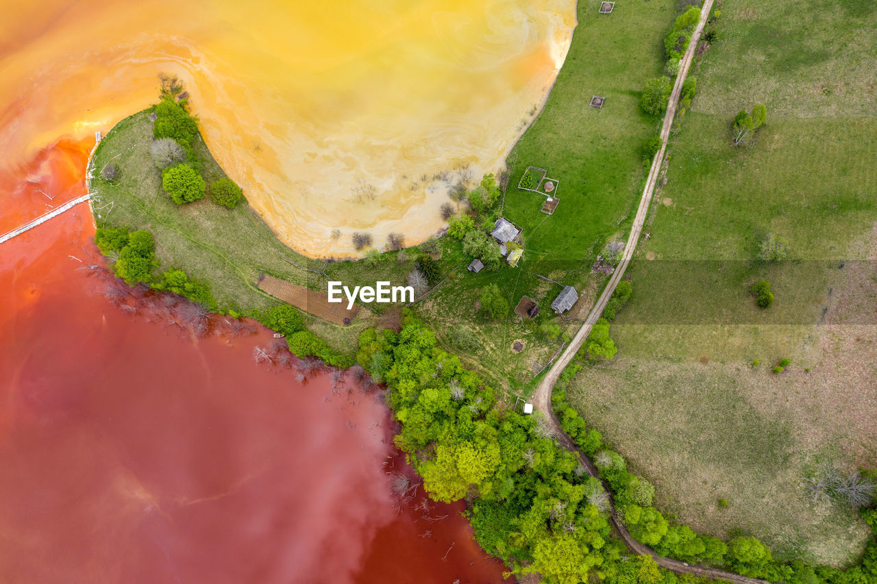 HIGH ANGLE VIEW OF VEGETABLES IN WATER