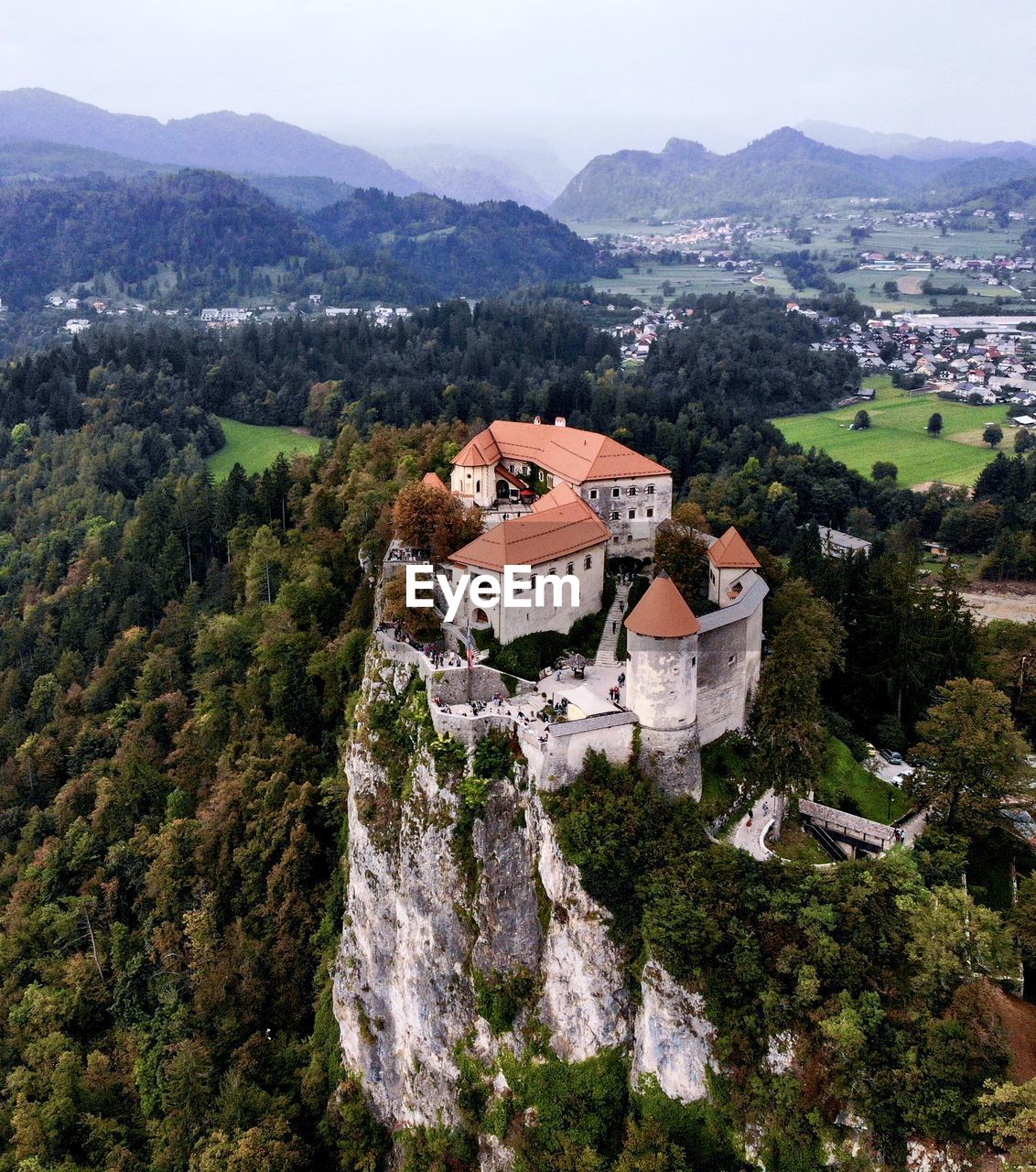 High angle view of townscape by tree mountain