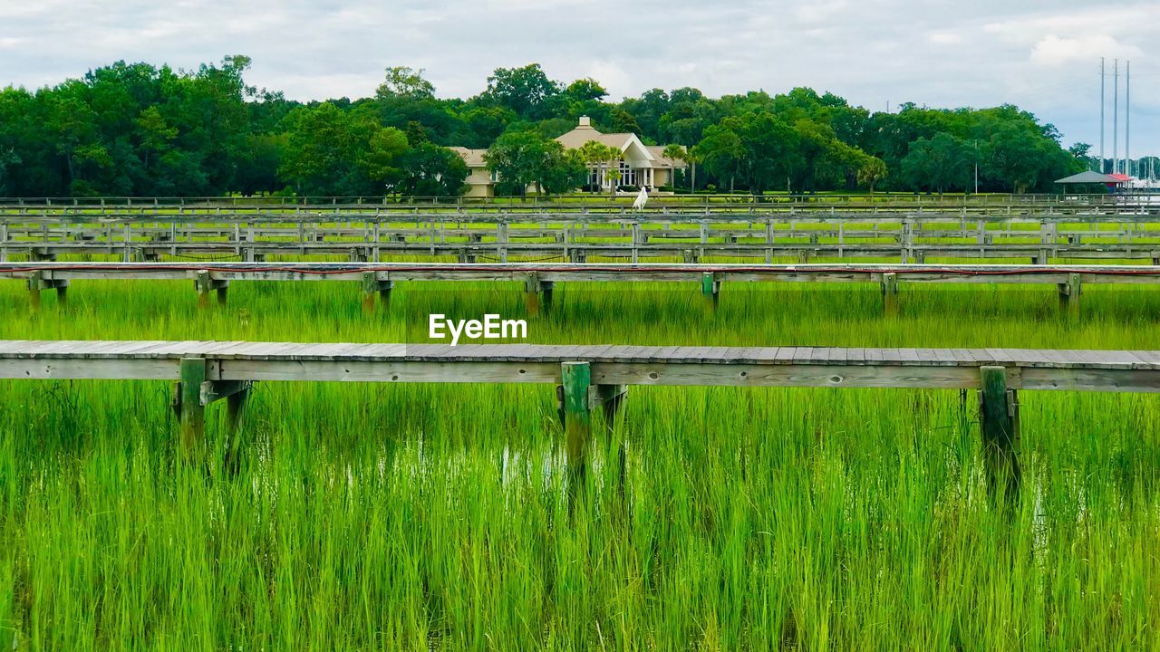 SCENIC VIEW OF GRASSY FIELD AGAINST SKY