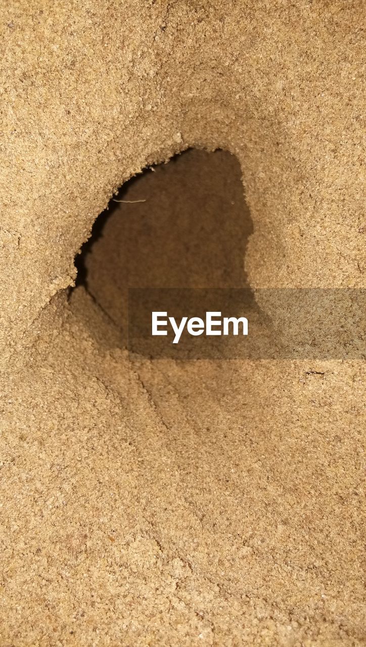 sand, land, soil, no people, nature, beach, brown, textured, day, high angle view, full frame, backgrounds, sunlight, outdoors, flooring, close-up, wood, floor, hole, water, pattern