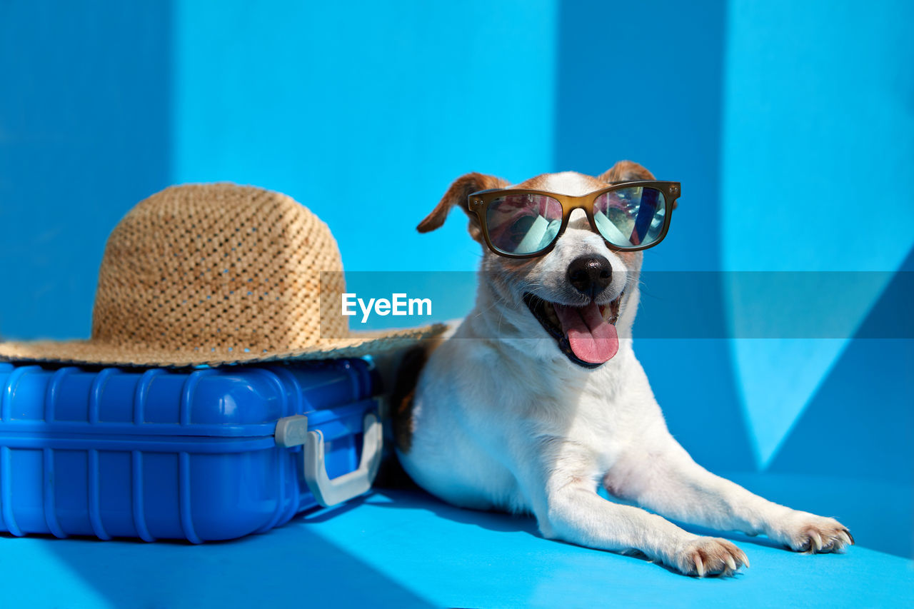 Portrait of woman with dog against blue sky