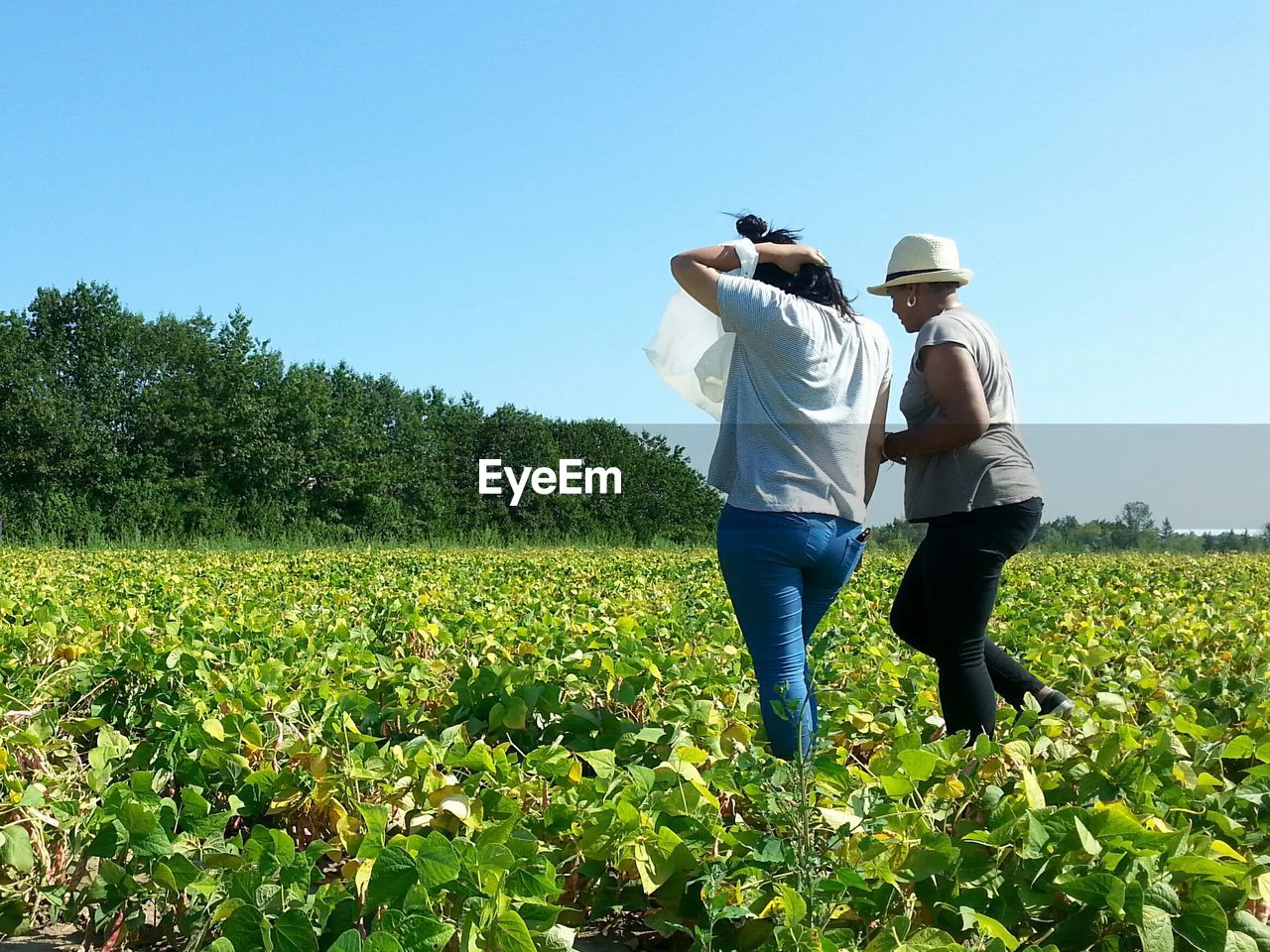 Friends standing on farm