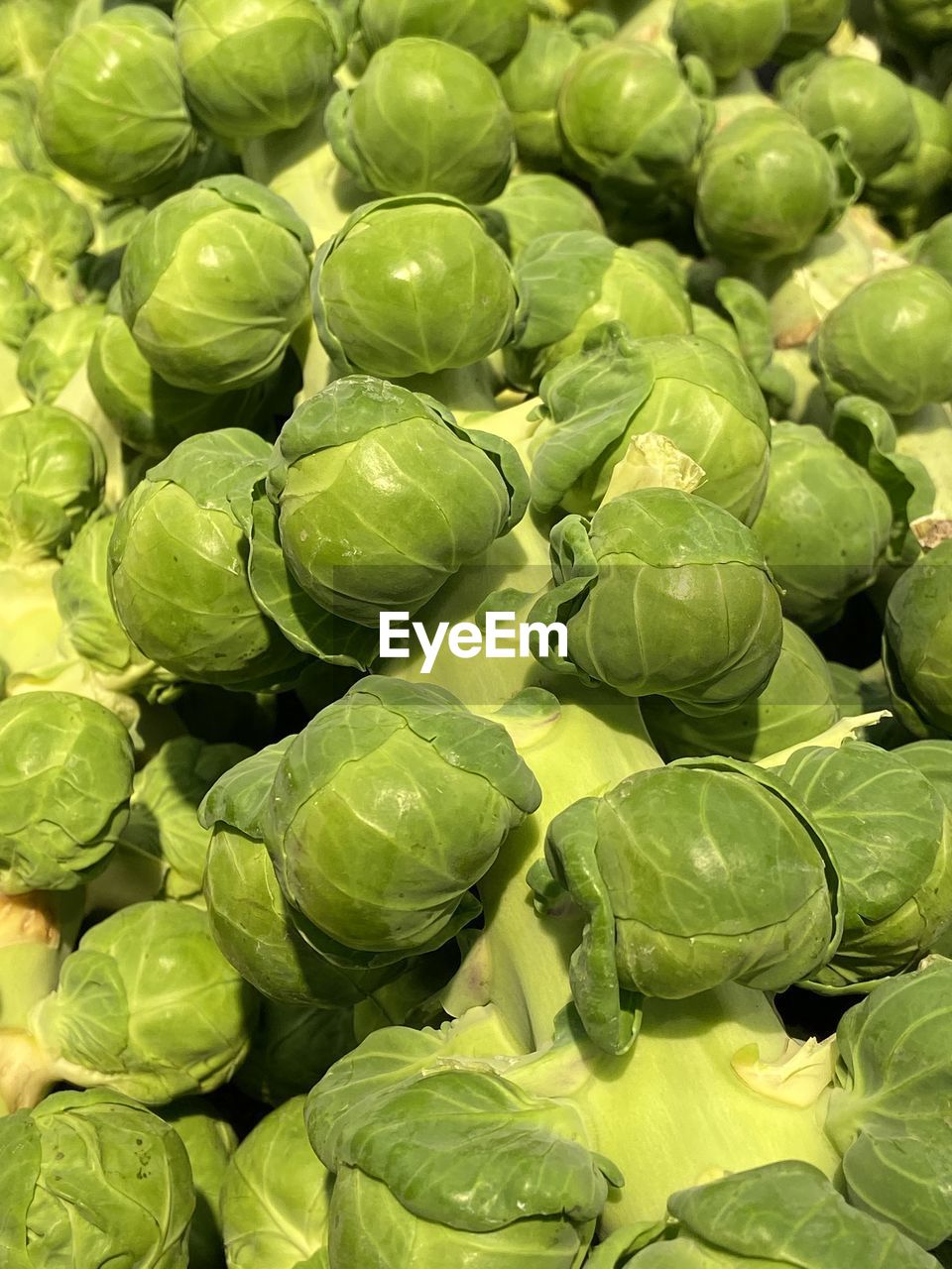 Full frame shot of  brussels sprouts 