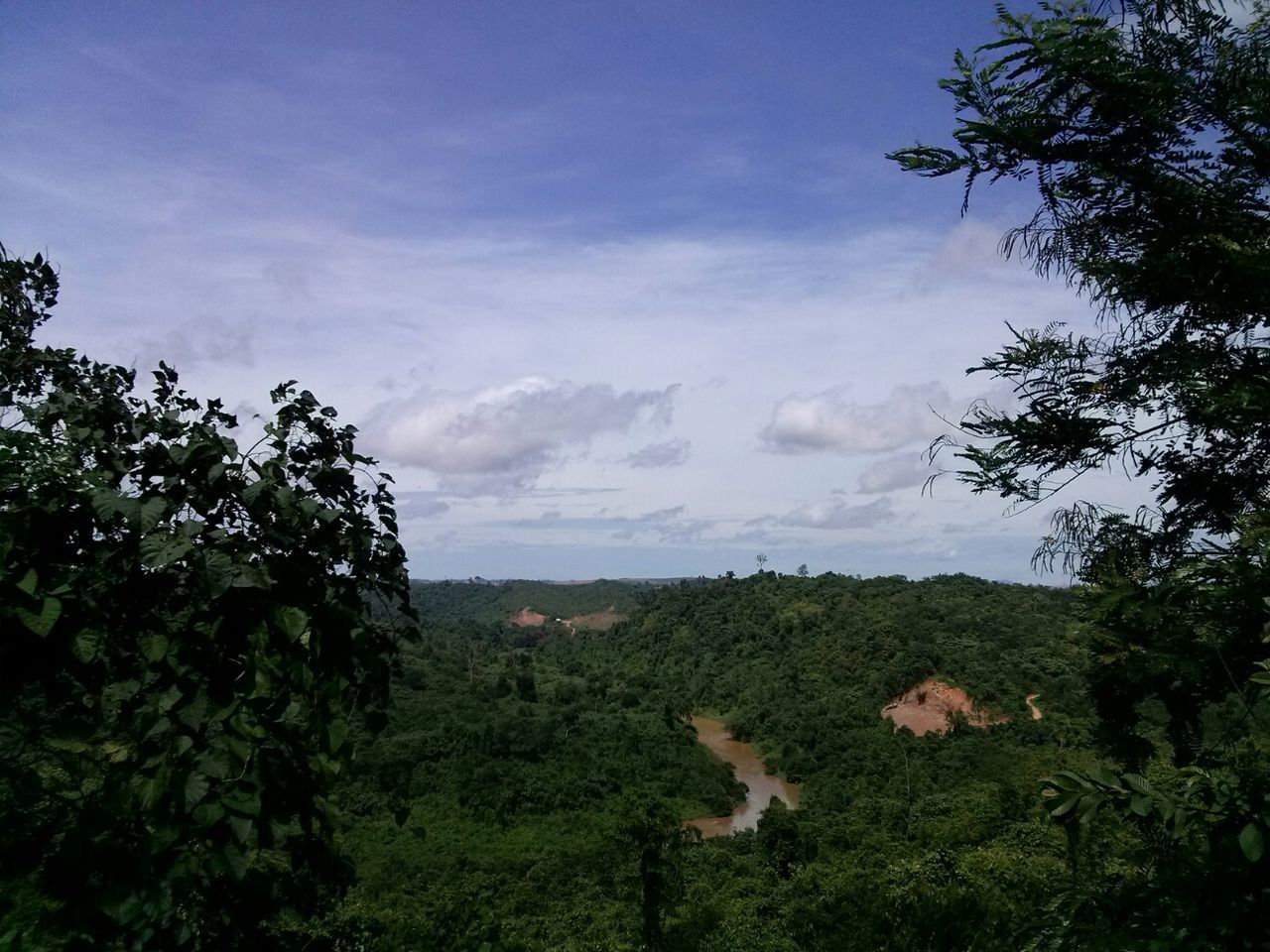 Tranquil scene of landscape