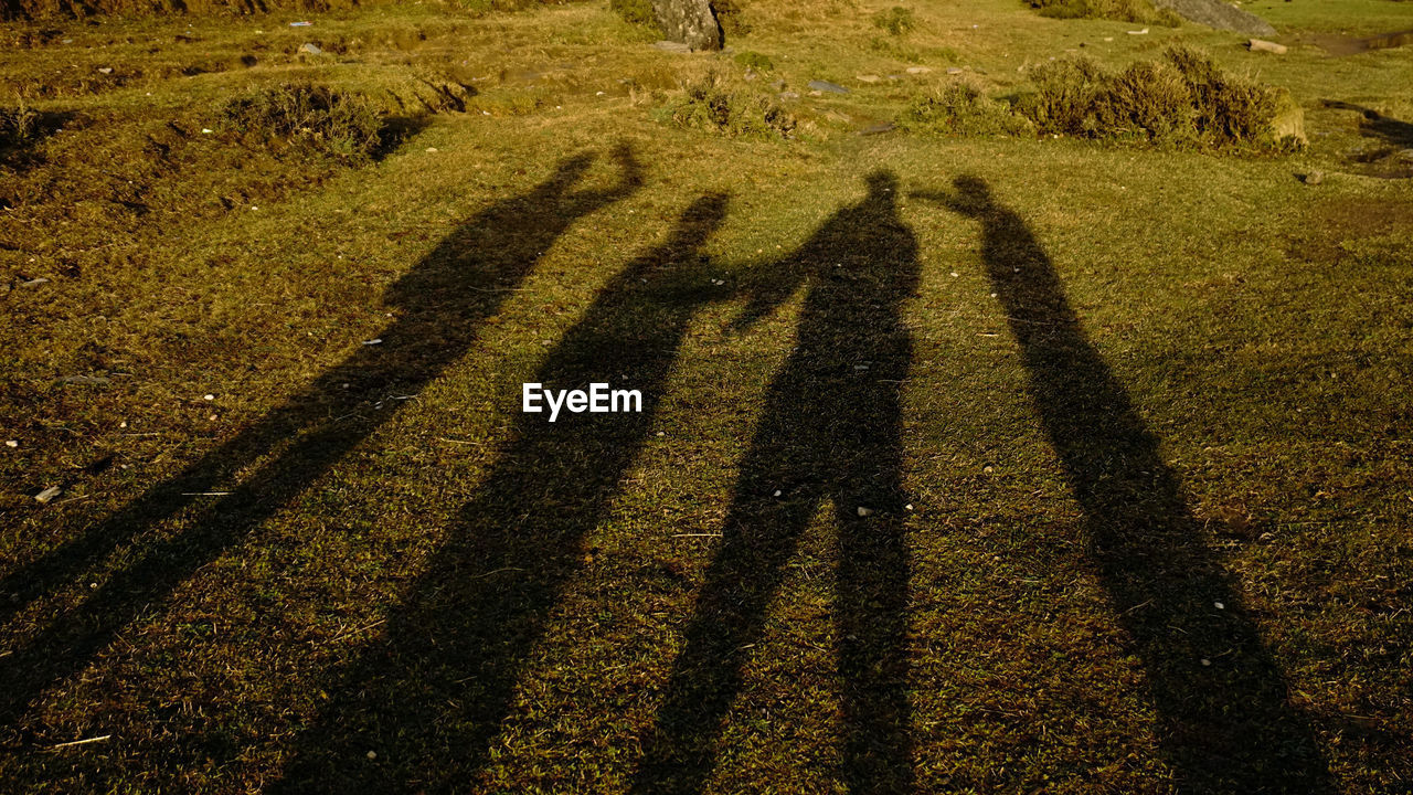 SHADOW OF PEOPLE ON GRASS