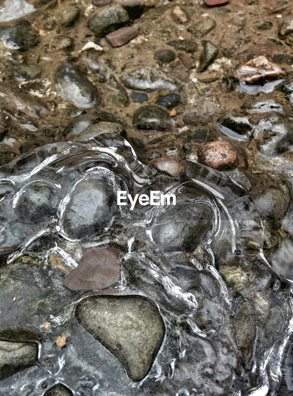 Close-up view of frozen water