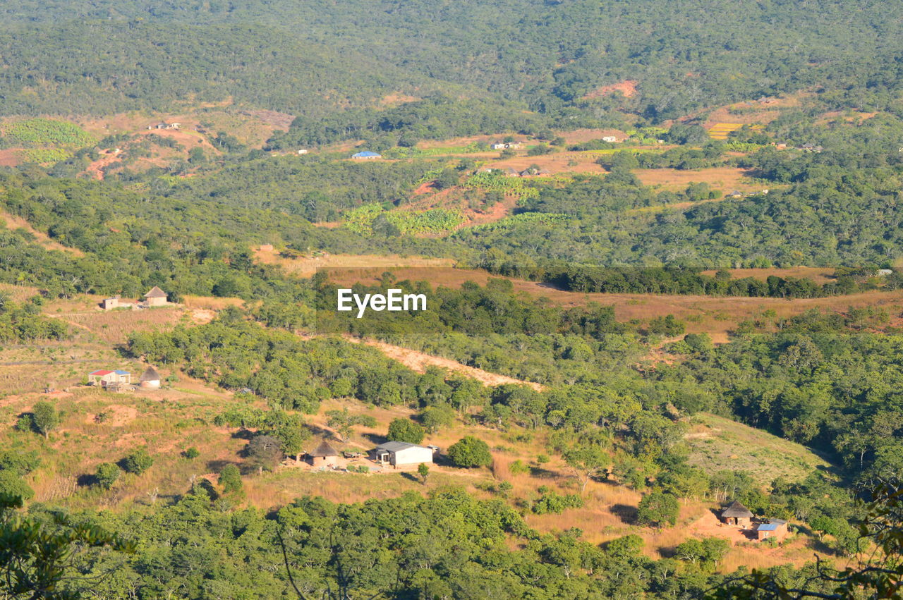 High angle view of trees on field