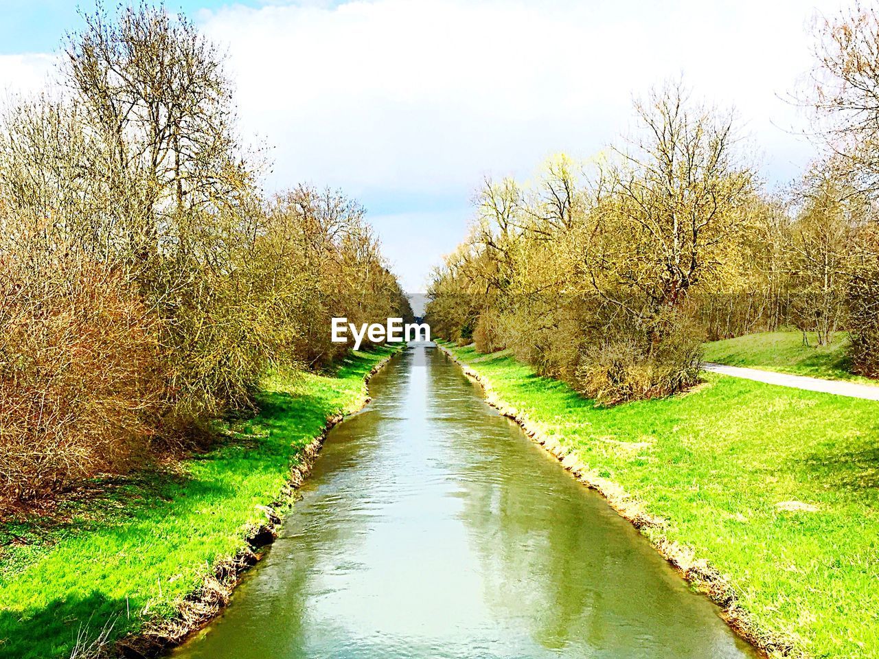 VIEW OF TREES BY RIVER