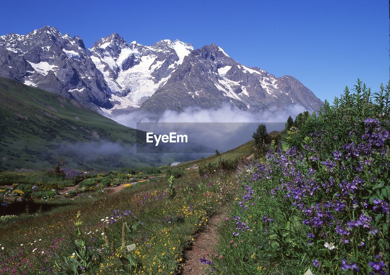 Scenic view of snow covered mountains