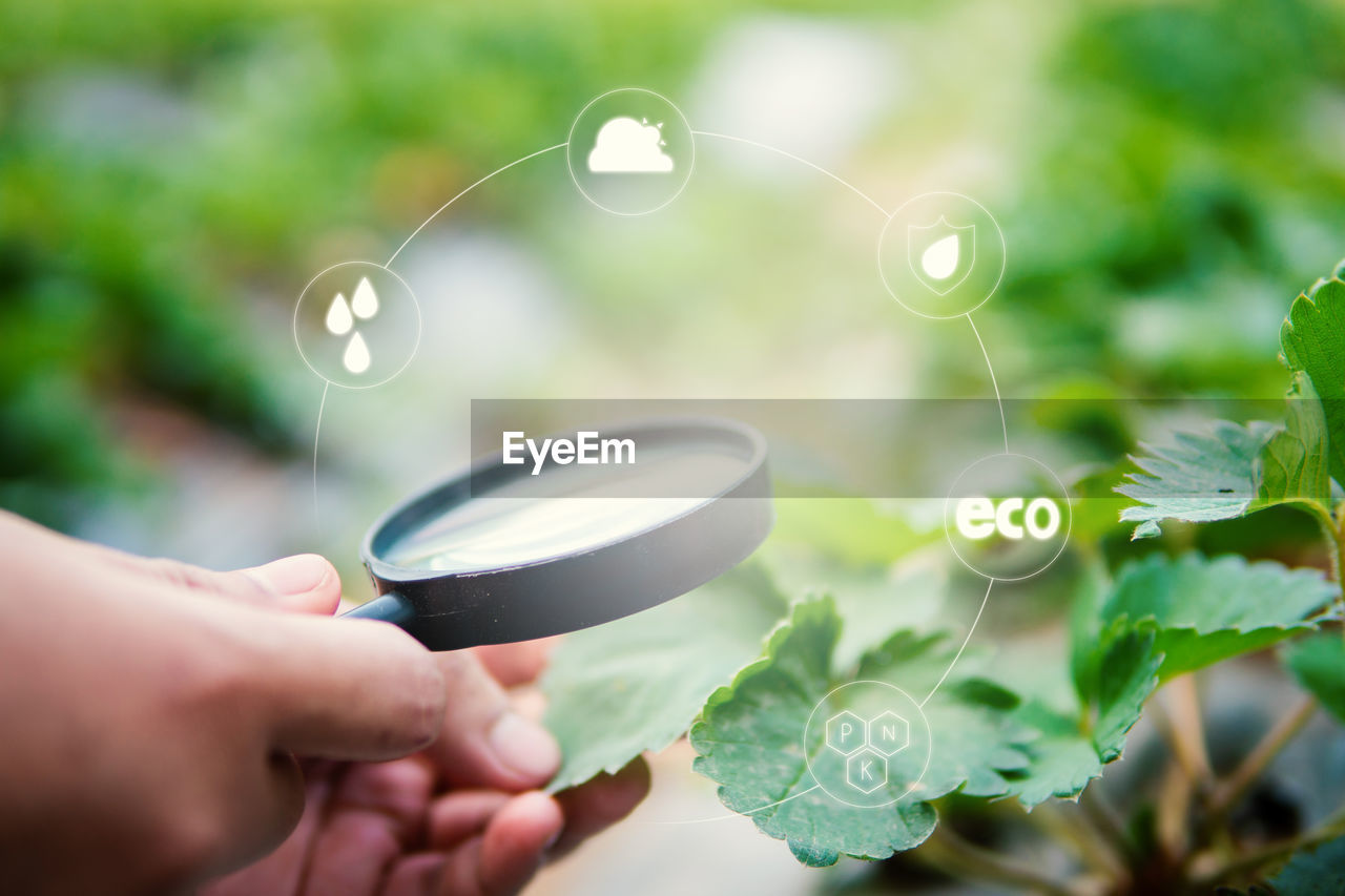Digital composite image of cropped hand holding magnifying glass by plants and symbols