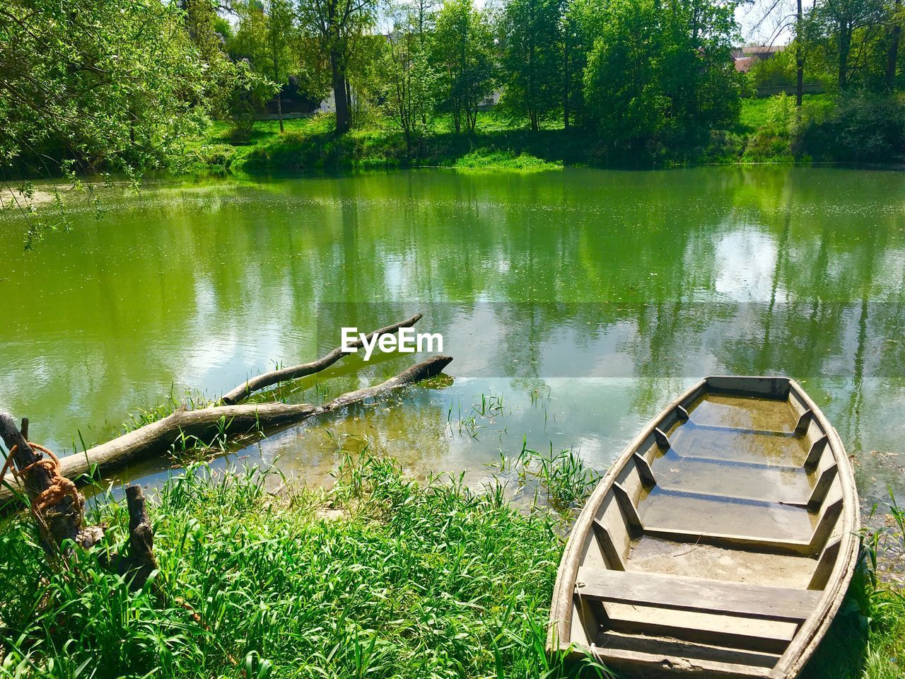 Scenic view of lake by trees