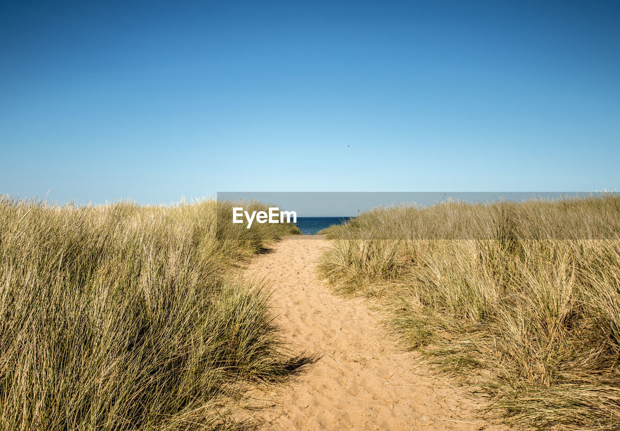 Scenic view of beach against clear blue sky