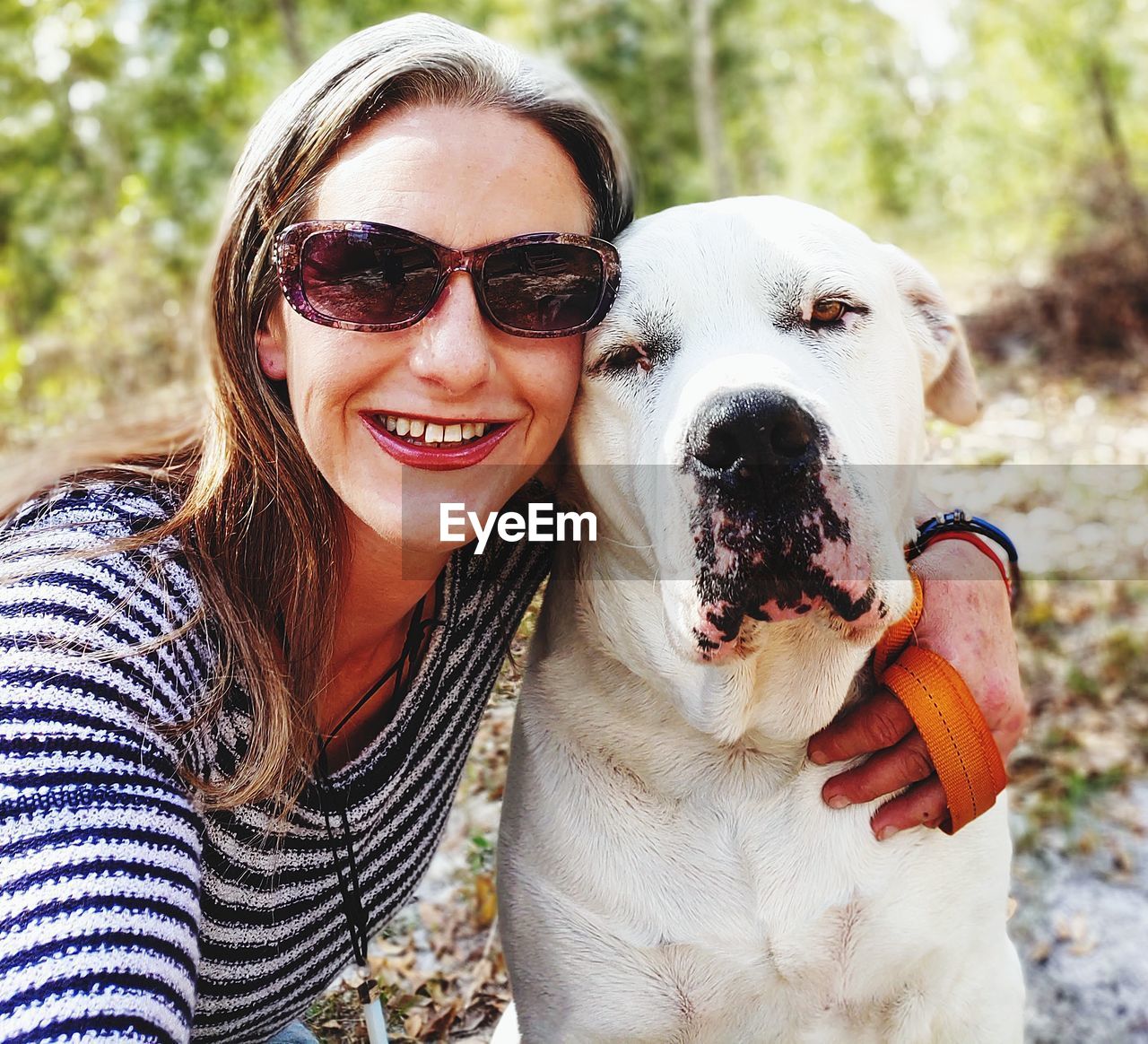 Portrait of smiling woman wearing sunglasses with dog in forest