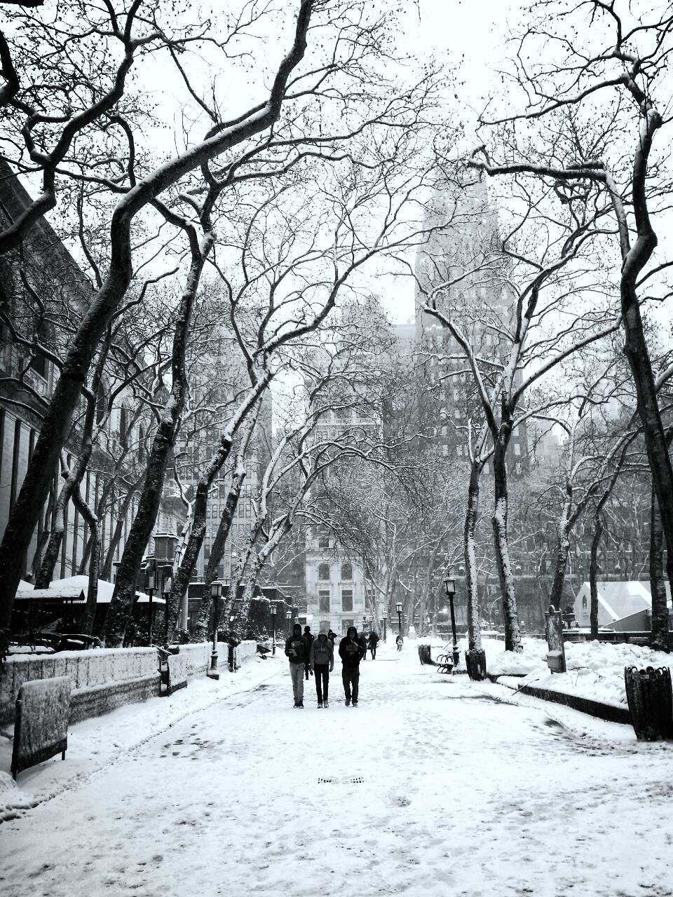 Rear view of people walking on snow covered road